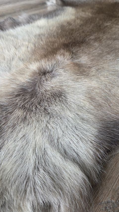 Naturel rendierhuid, detail 2