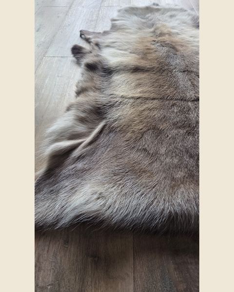 Naturel rendierhuid, Atelierselectie, bij Mahieu&Merckx