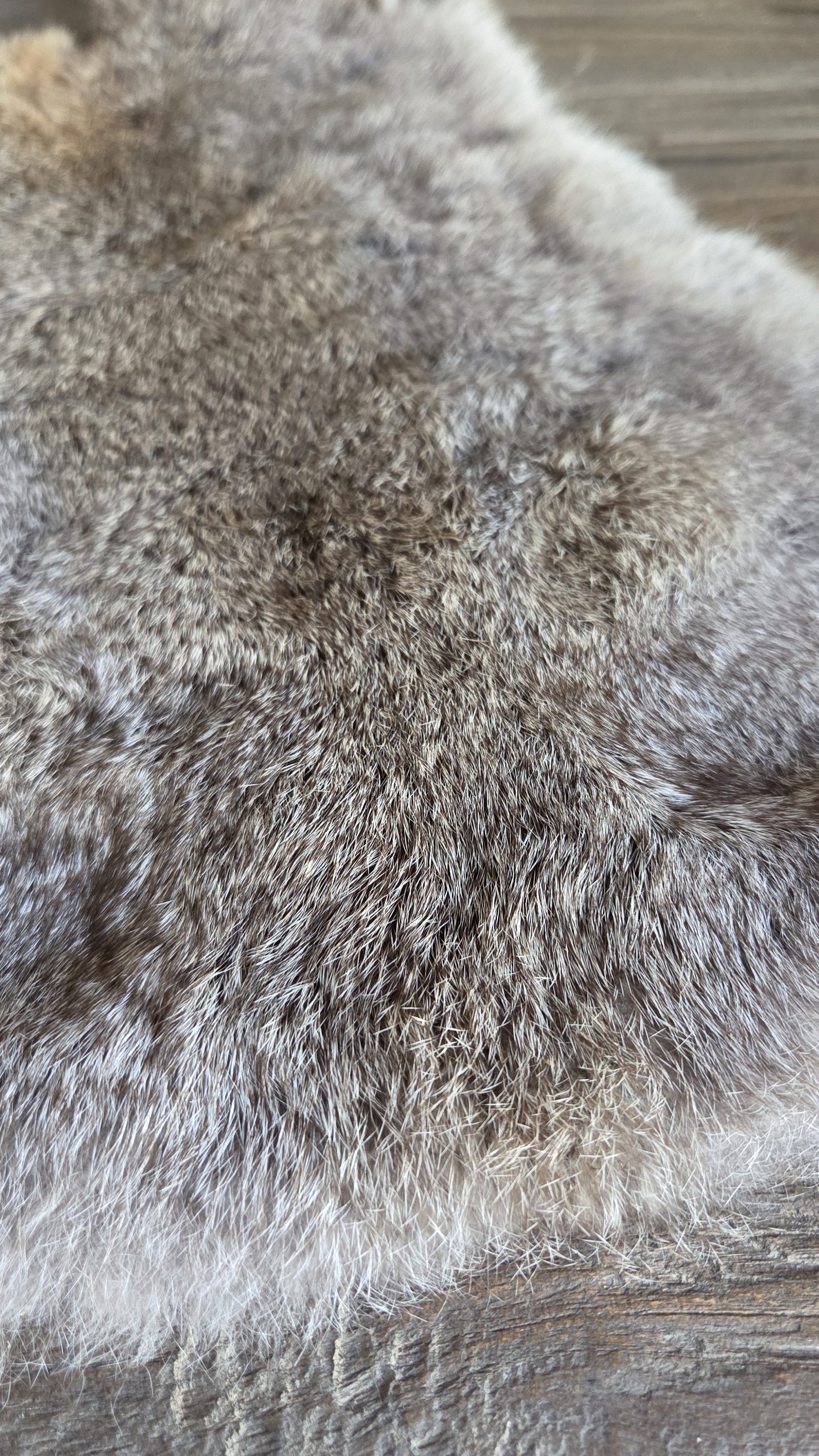 Naturel konijnenvel grijsbruin, detail 3
