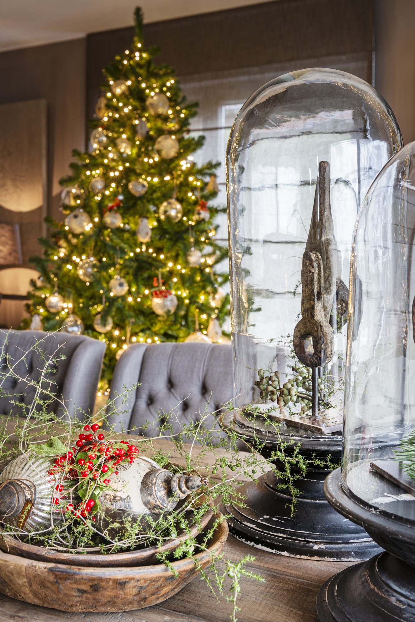 Glazen stolp met de kerstboom op de achtergrond, 2019